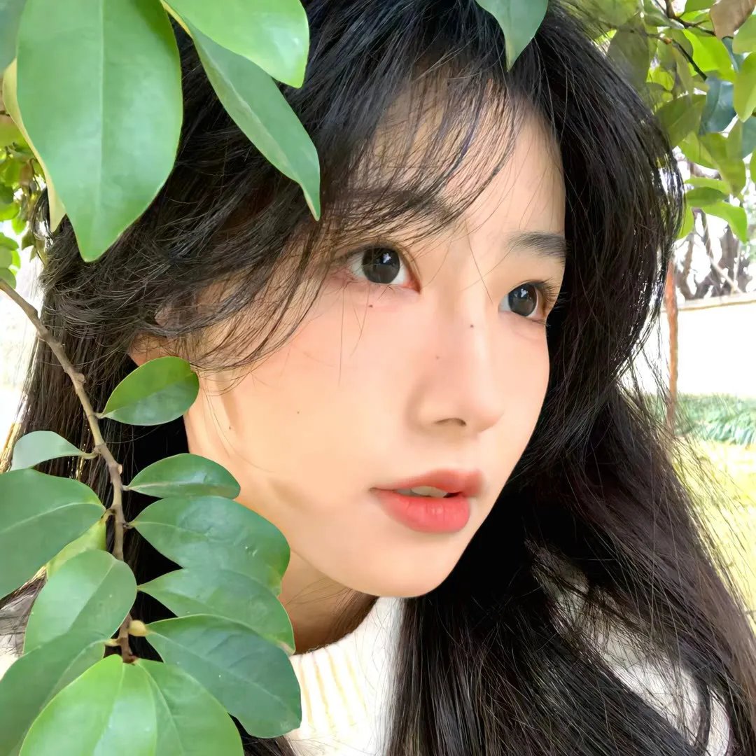 伯格曼